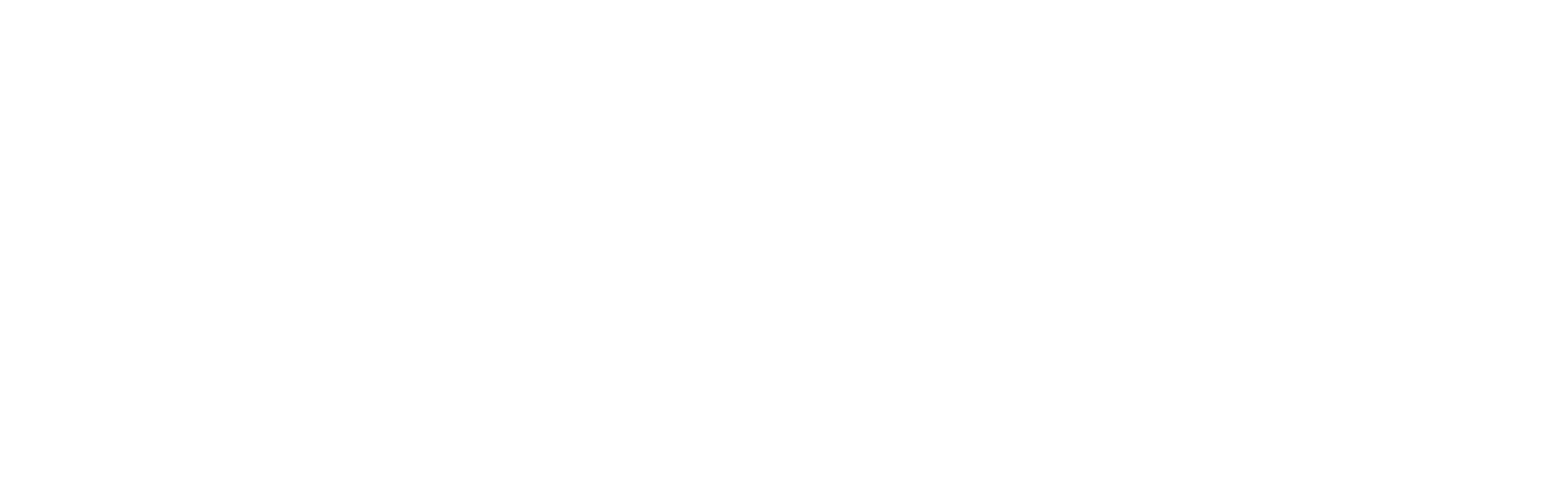 Immobiliare Burelli
